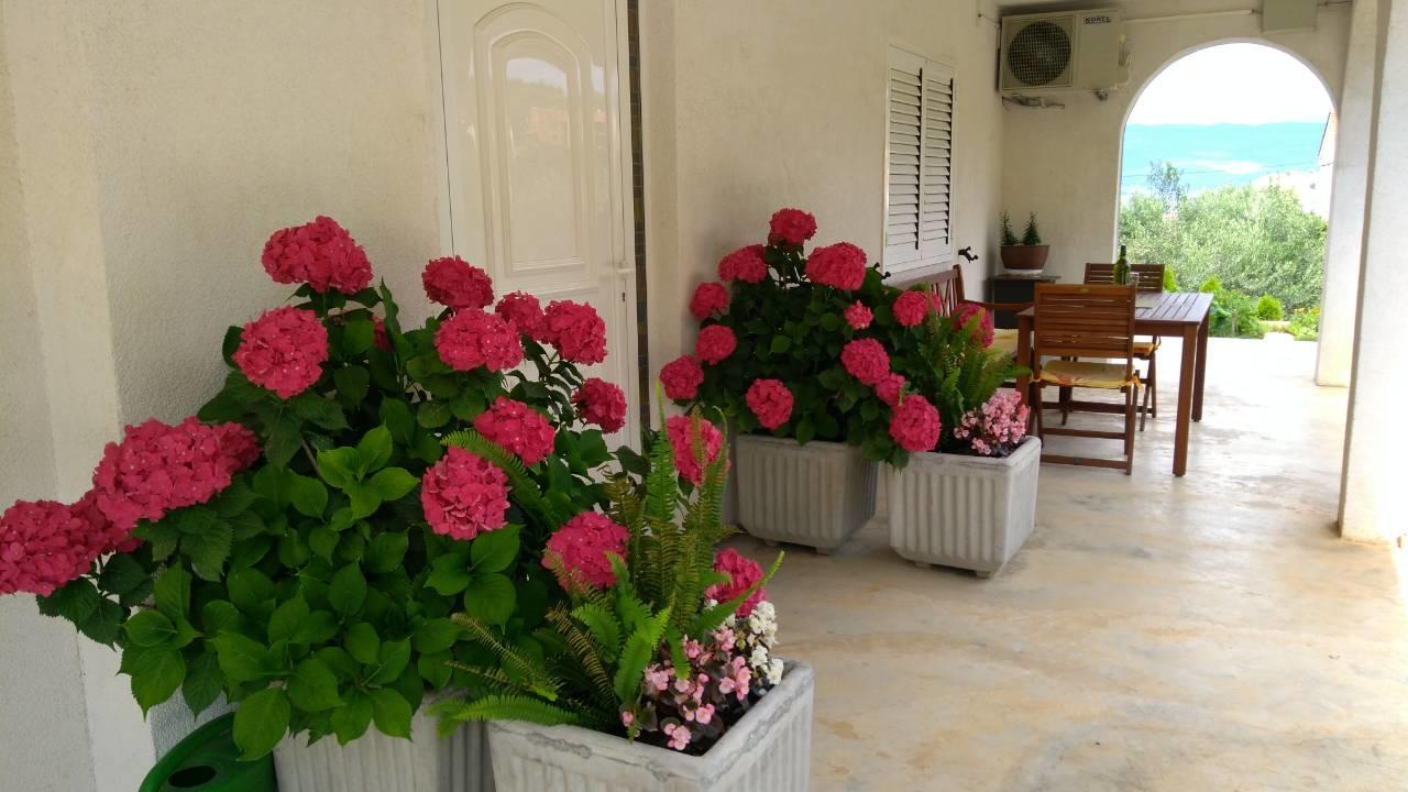Megi1 Apartment Vrbnik Bagian luar foto